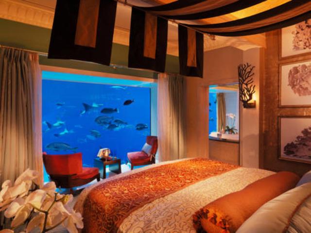 Фото на тему «Почему нельзя ставить аквариум в спальне?»