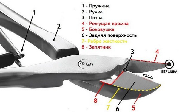 Конструкция и устройство бокорезов