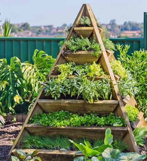 Форма пирамиды позволяет располагать растения в несколько ярусов, внизу высаживаются растения с высоким стеблем, а на стеллажах, возможно, расположить низкорослые культуры
