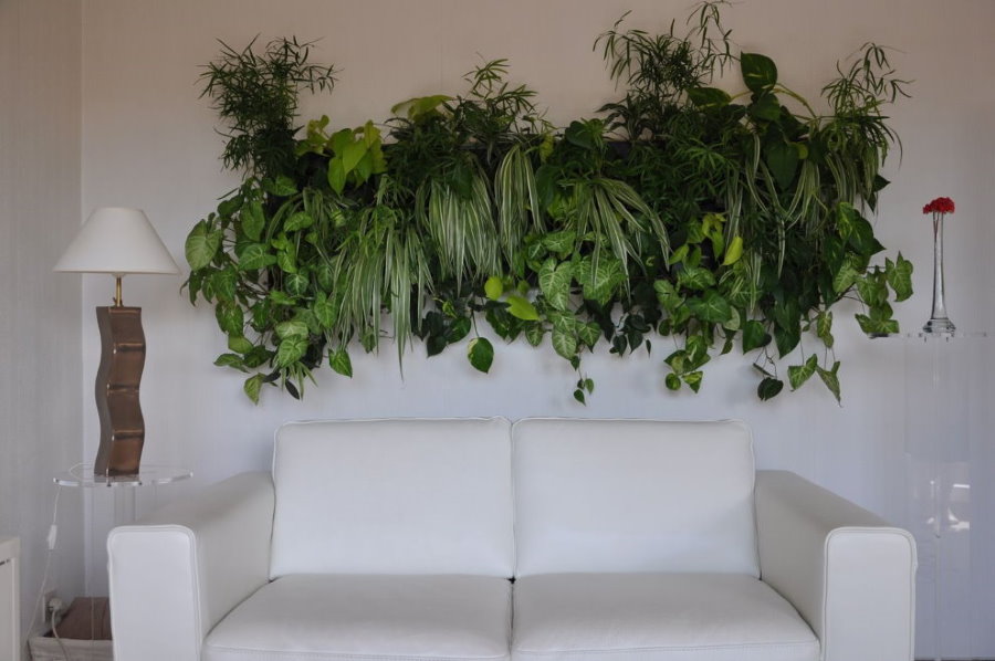 Живые растения над диваном в зале
