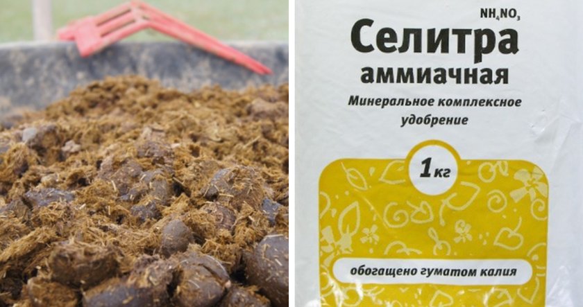 Удобрение для грибов
