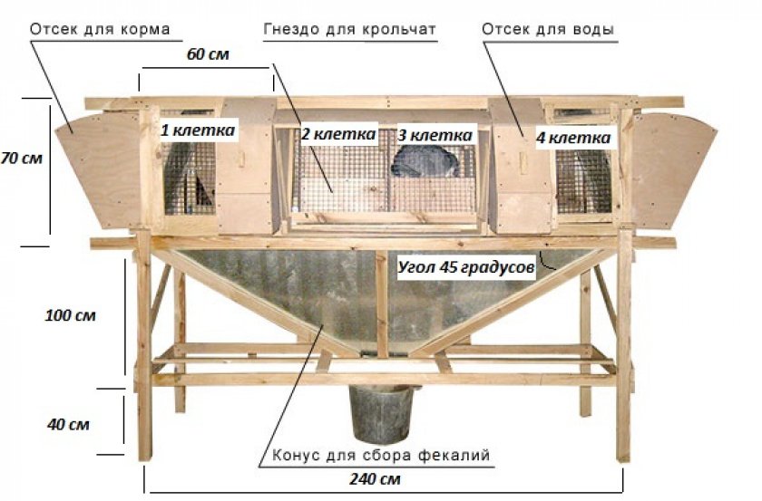 Чертеж клетки Михайлова