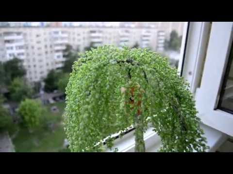 Светильник «Берёза из бисера»