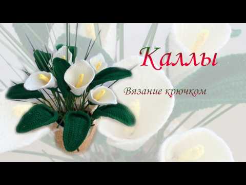 Рукоделие Каллы крючком