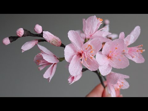 Сакура из бумаги / Цветы из гофрированной бумаги своими руками / DIY Paper Sakura