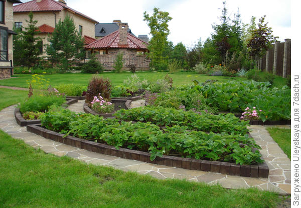 Декоративный огород, пример решения, фото сайта sadogolik.ru