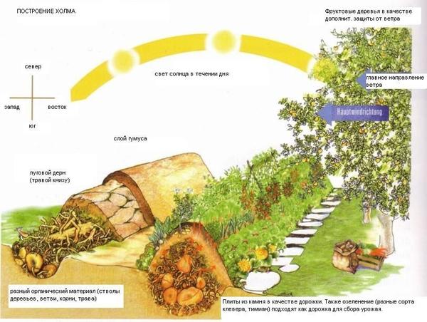 Схема теплой грядки-холма. Изображение с сайта over-blog-kiwi.com