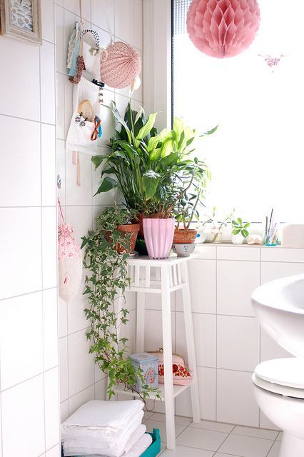 Растения в углу ванной