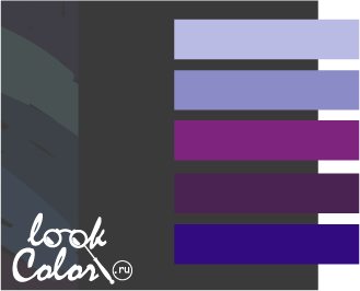 сочетание цветов темно-серый и фиолетовый