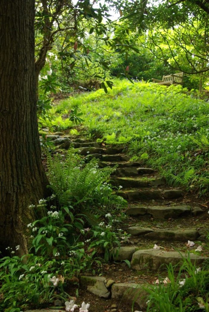 Лестницы и ступеньки в саду