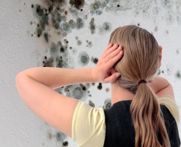 Из-за нарушенного микроклимата возможно появление плесени на стенах