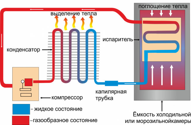 Схема работы однокамерного холодильника