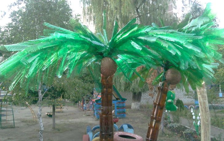 Крона пальмы