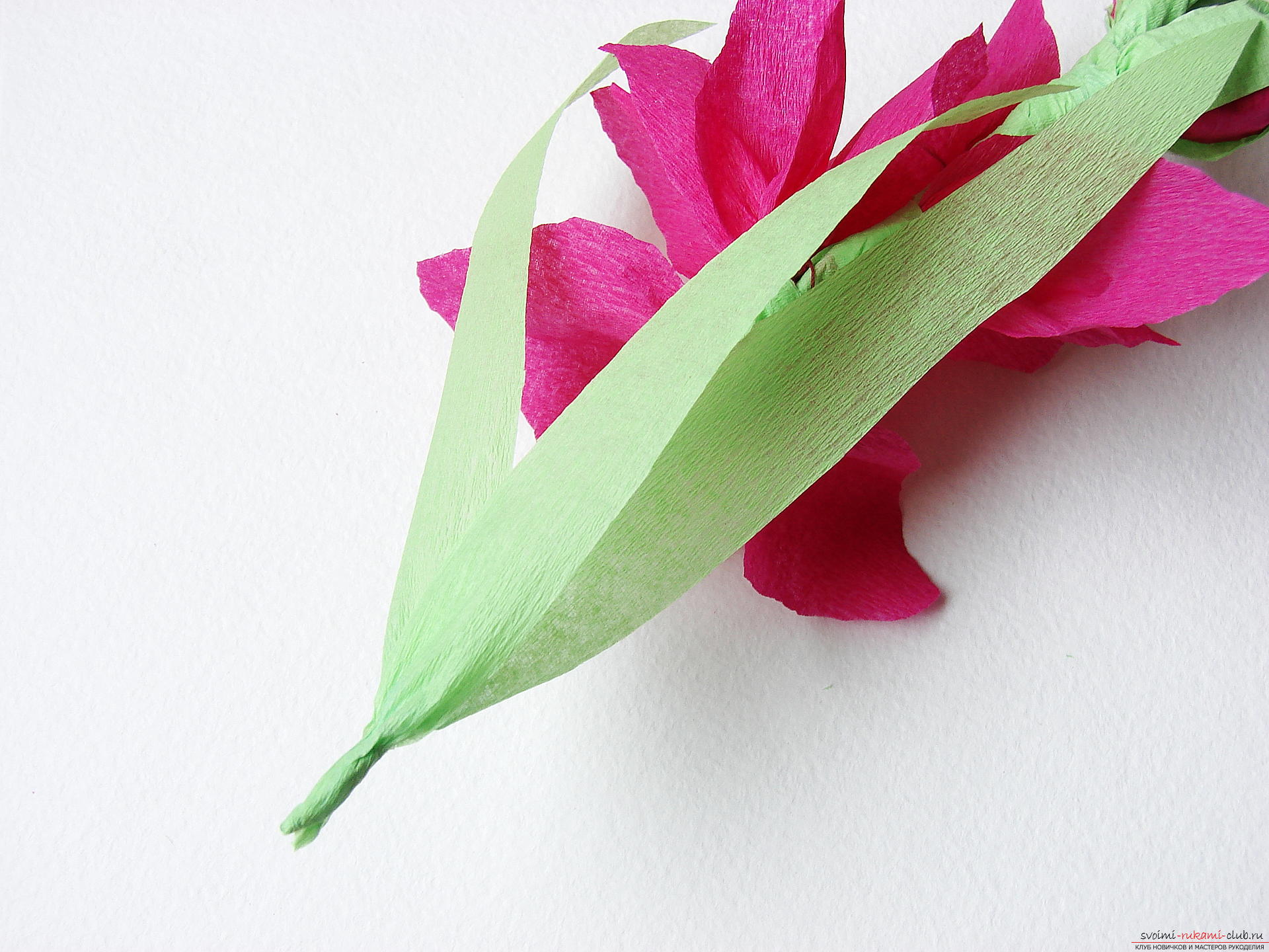 Этот мастер-класс научит как сделать цветы гладиолусы из бумаги своими руками.. Фото №30