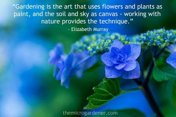 Gardening is the art that uses flowers and plants as paint, and the soil and sky as canvas - working with nature provides the technique.