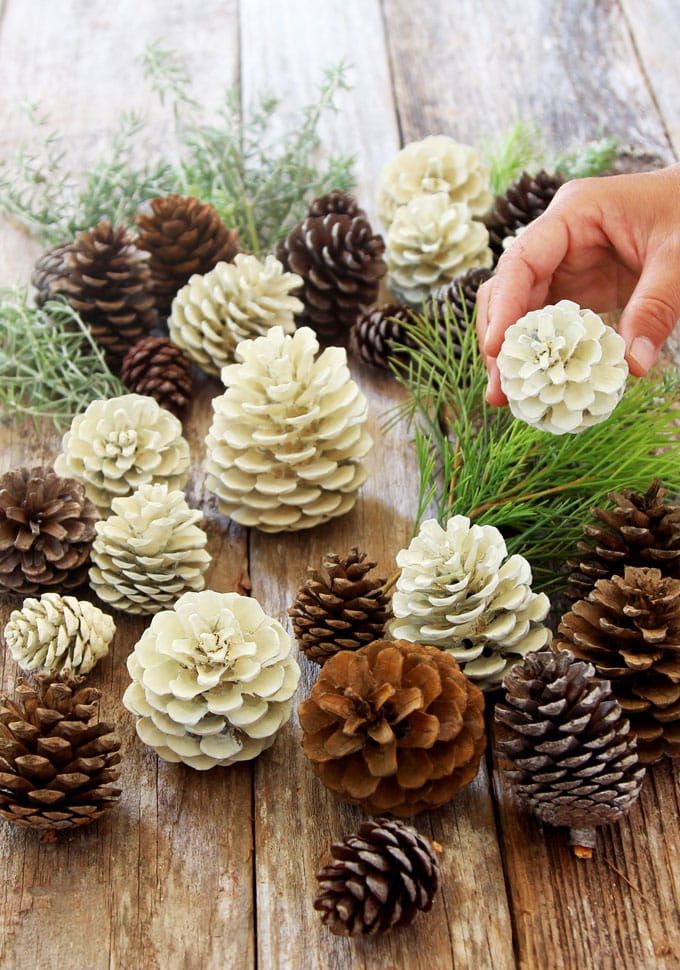 farmhouse whitewashed weathered wood with DIY bleached pinecones without using bleach