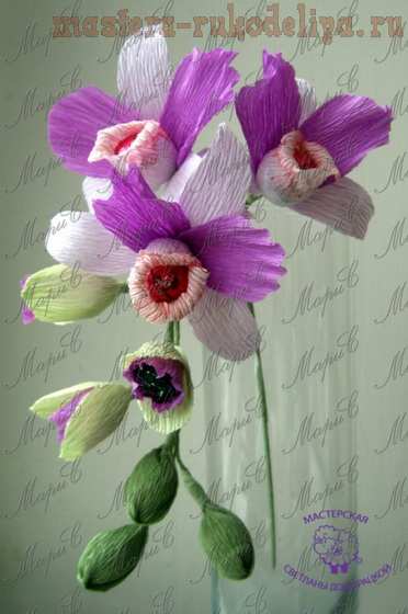 Мастер-класс по свит-дизайну: Орхидея