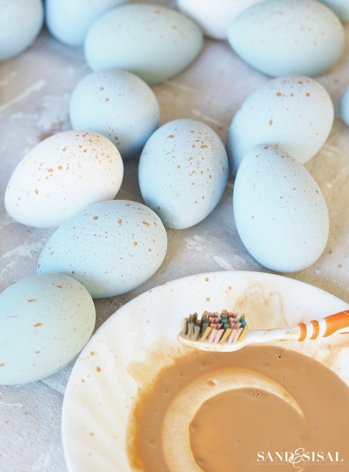 Making Speckled Robin