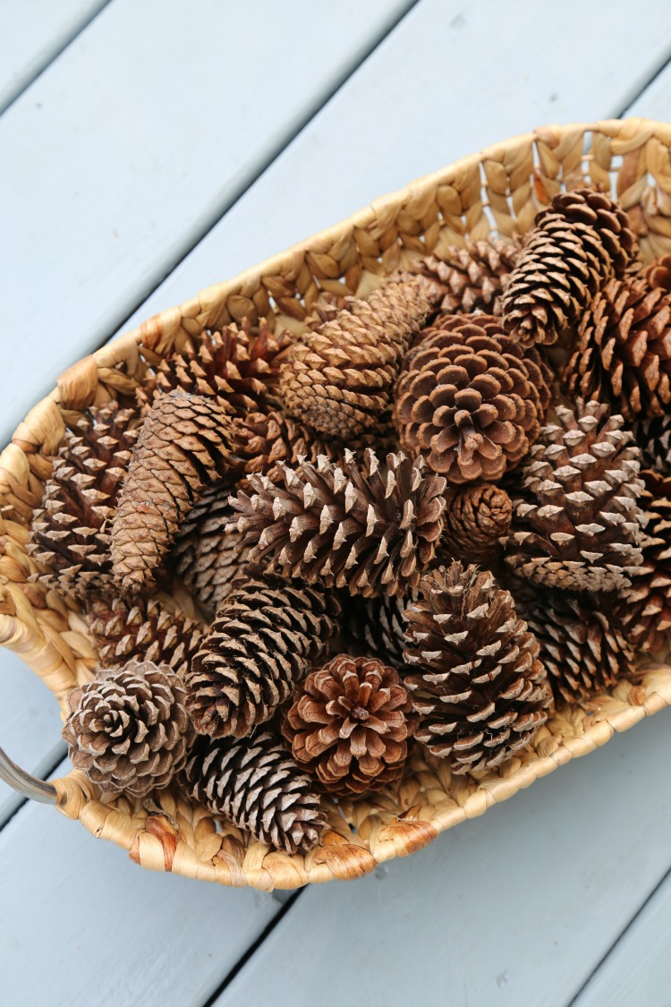 basket-of-pinecones. Learn How to Bleach Pinecones.